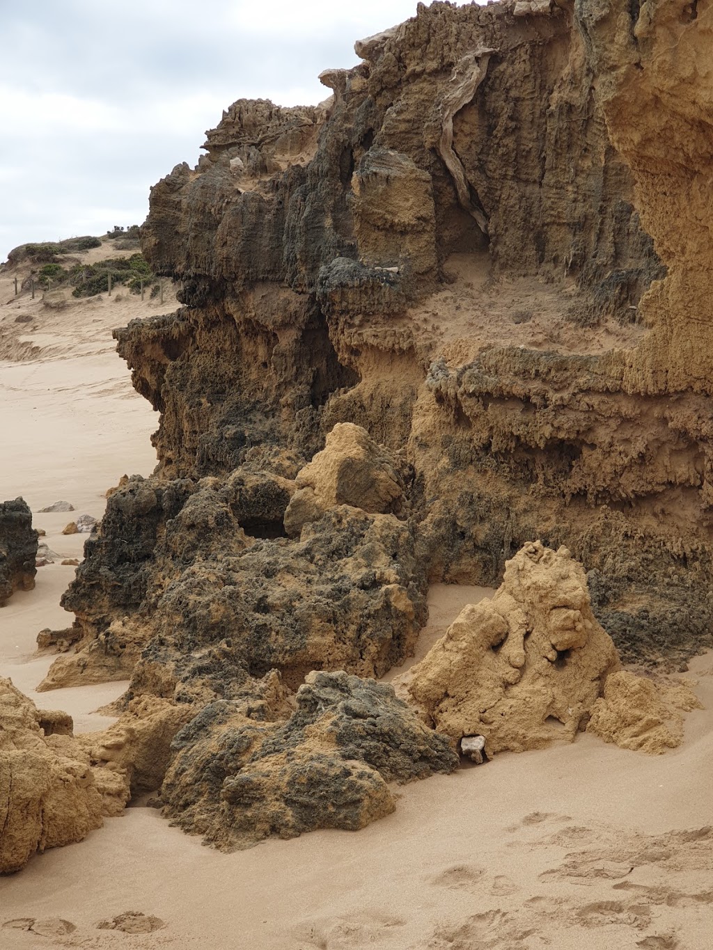 Saint Andrews Beach House | museum | St Andrews Beach VIC 3941, Australia