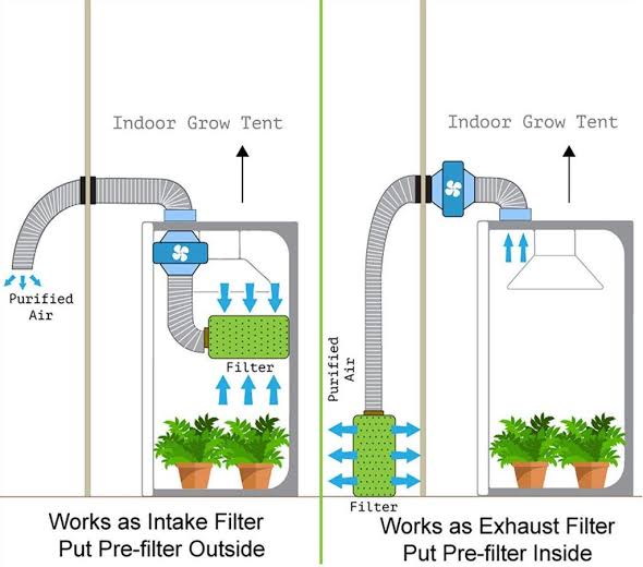 HydroCulture | U13b, 3 Kenneth Rd, Manly Vale NSW 2093, Australia | Phone: 0434 366 902