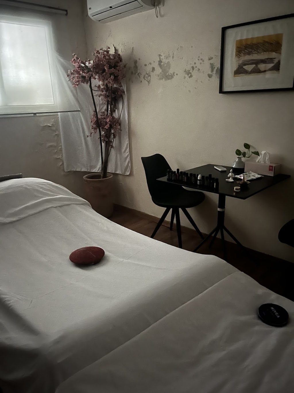 may nature | 10 Carol Anne Ct, Bonogin QLD 4213, Australia | Phone: 0403 145 196