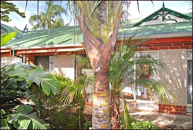 Paradise Retirement Village | health | 695 Lower North East Rd, Paradise SA 5075, Australia | 0883376238 OR +61 8 8337 6238