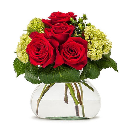 Captainshop | Flower Delivery Sydney & Best Florist | florist | 55 Albert St, Freshwater NSW 2096, Australia | 0299053577 OR +61 2 9905 3577