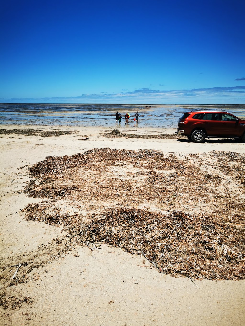 Thompson Beach South Public Toilet | The Esplanade, Thompson Beach SA 5501, Australia | Phone: (08) 8527 0200