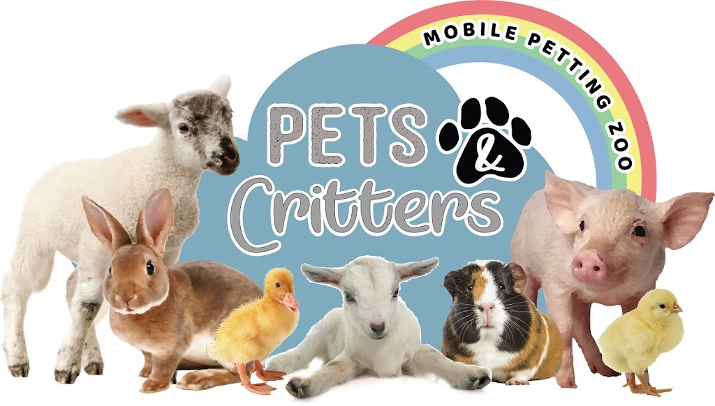 Pets & Critters | 55 Lower Buckra Bendinni Rd, Bowraville NSW 2449, Australia | Phone: 0497 261 410
