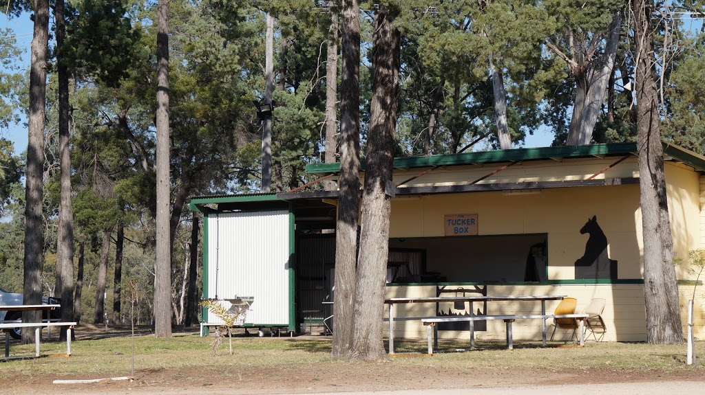 Caravan And Camping miles showground | Bourne St, Miles QLD 4415, Australia | Phone: 0419 028 905