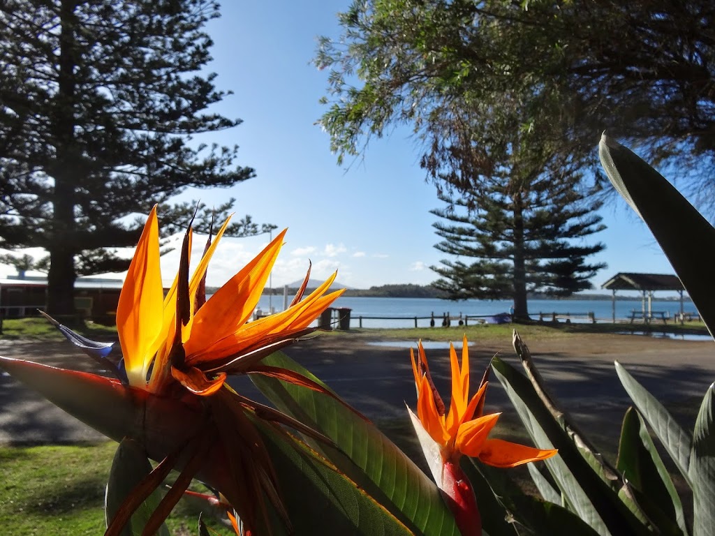 BlueWater Escape | lodging | 12/91 Main Rd, Manning Point NSW 2430, Australia | 0407590009 OR +61 407 590 009