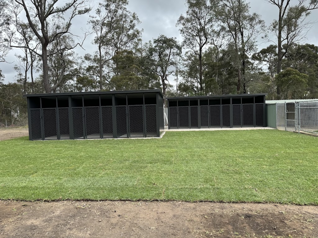 Blue Paws Resort | 172 Church St, Cranebrook NSW 2749, Australia | Phone: 0432 696 017