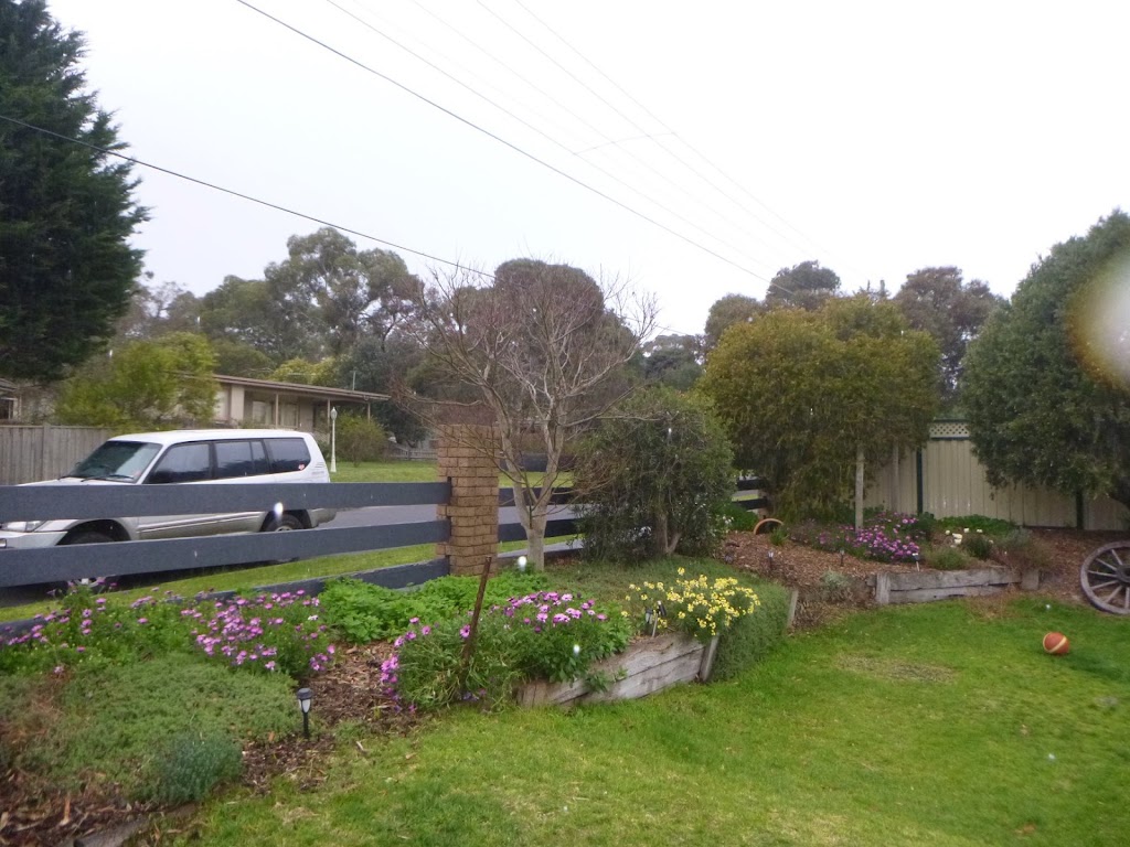 OConnors Tree Services | 66 Anthony St, Langwarrin VIC 3910, Australia | Phone: 0408 759 045