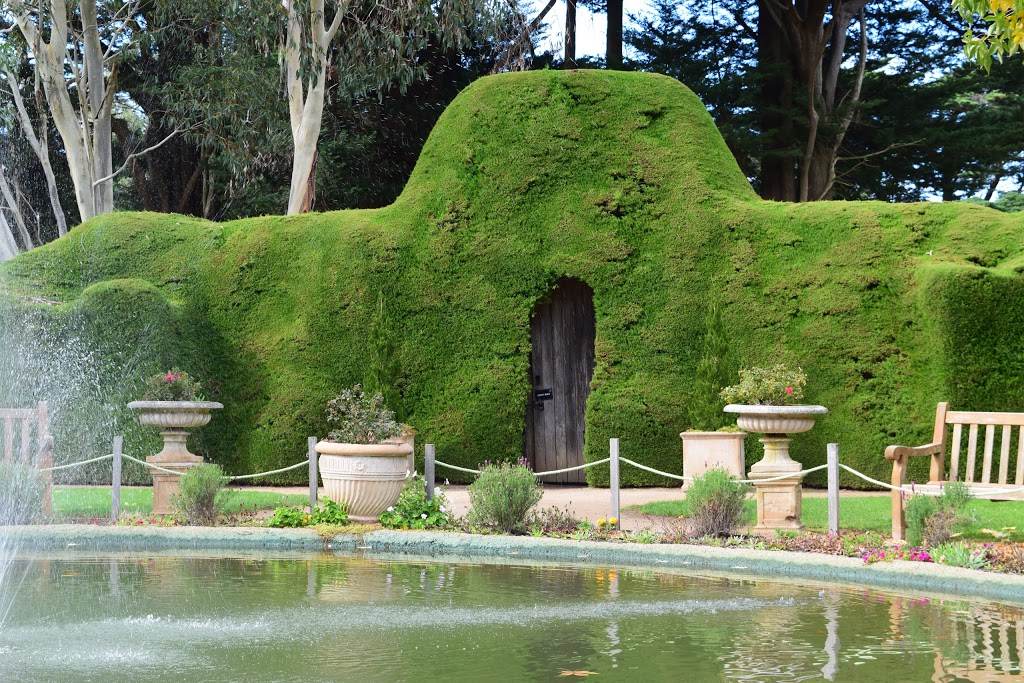 Ashcombe Maze & Lavender Gardens | amusement park | 15 Red Hill-Shoreham Rd, Shoreham VIC 3916, Australia | 0359898387 OR +61 3 5989 8387
