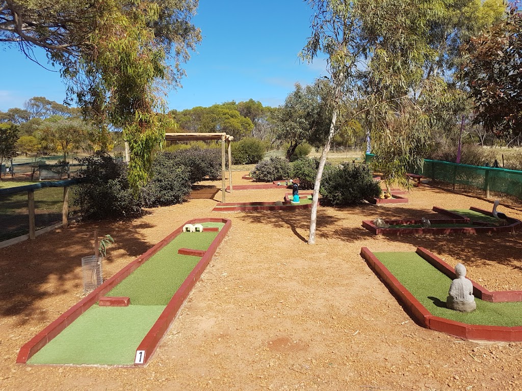 Dongara Activity Park | 26 Matsen Rd, Bookara WA 6525, Australia | Phone: (08) 9927 2864