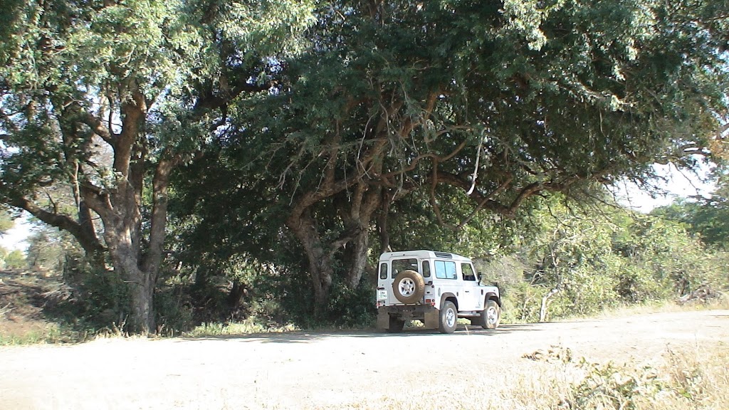 Greg Tunstall Mechanical | car repair | 2 Trade St, Ormiston QLD 4160, Australia | 0738210622 OR +61 7 3821 0622