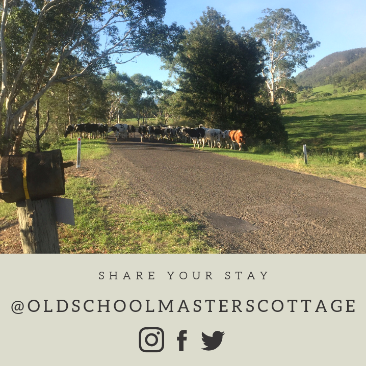 The Old Schoolmasters Cottage on the Barrington River | 404 Barrington E Rd, Barrington NSW 2422, Australia | Phone: 0427 589 075