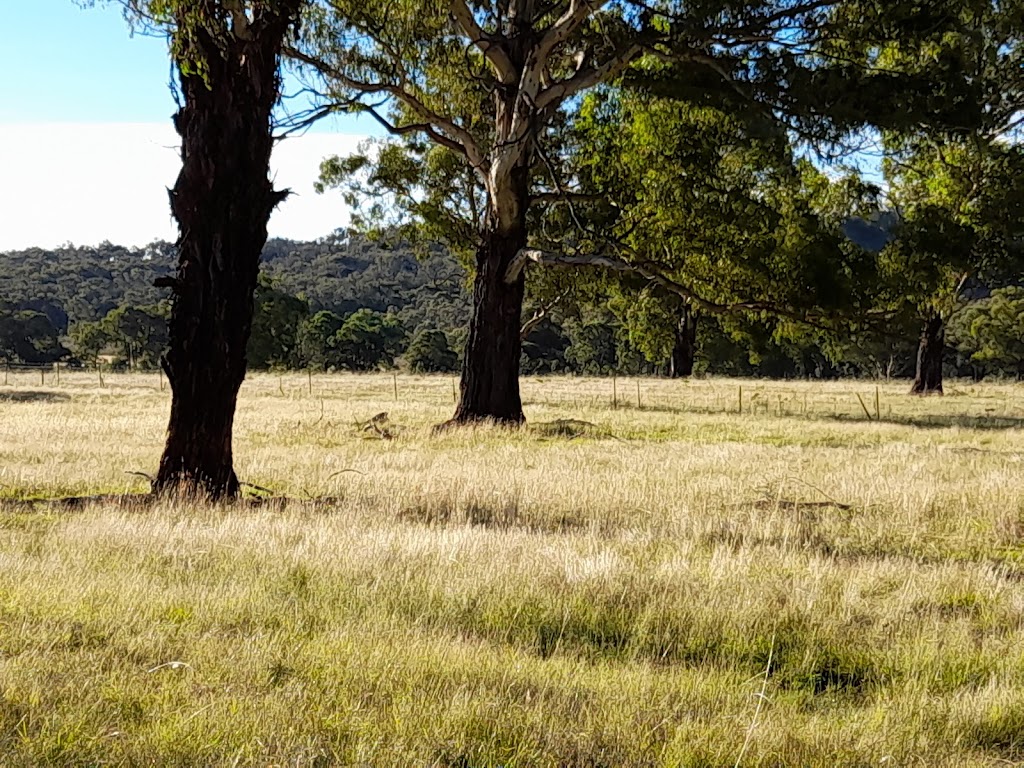 Parlour Mountain Farm, run by Hempel Enterprises Pty Ltd | 3206 Boorolong Rd Parlour Mountain Farm, Boorolong NSW 2350, Australia | Phone: 0407 755 888