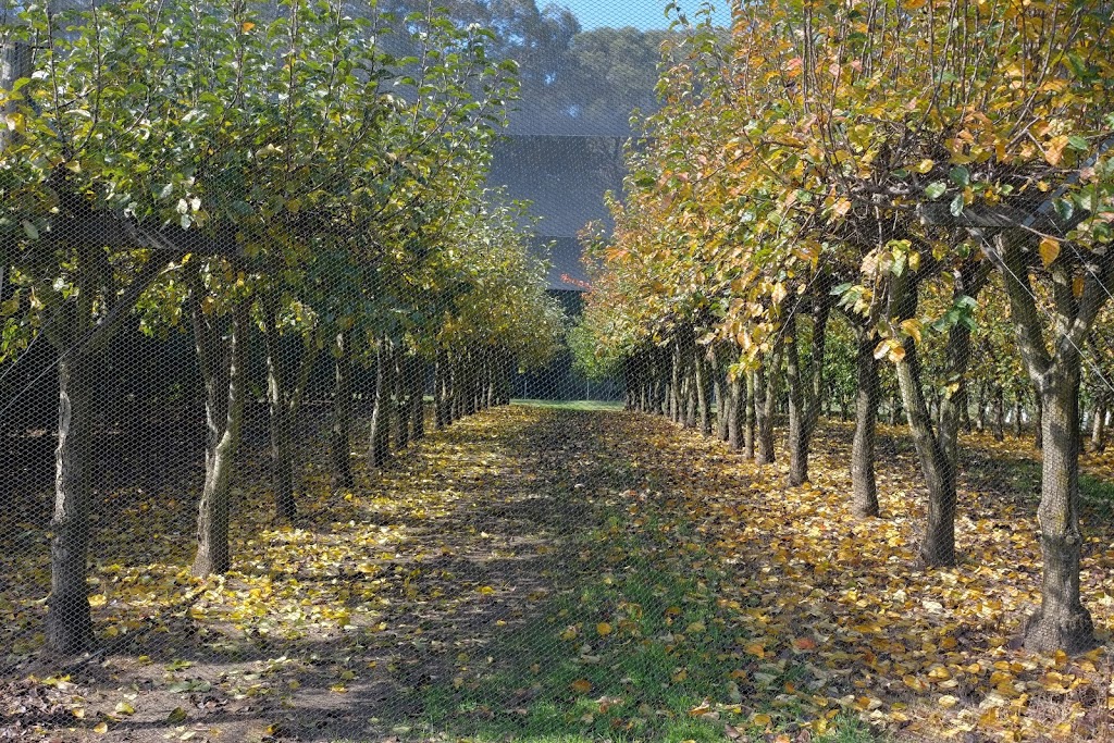 Bilpin Springs Orchard |  | 2550 Bells Line of Rd, Bilpin NSW 2758, Australia | 0245671294 OR +61 2 4567 1294