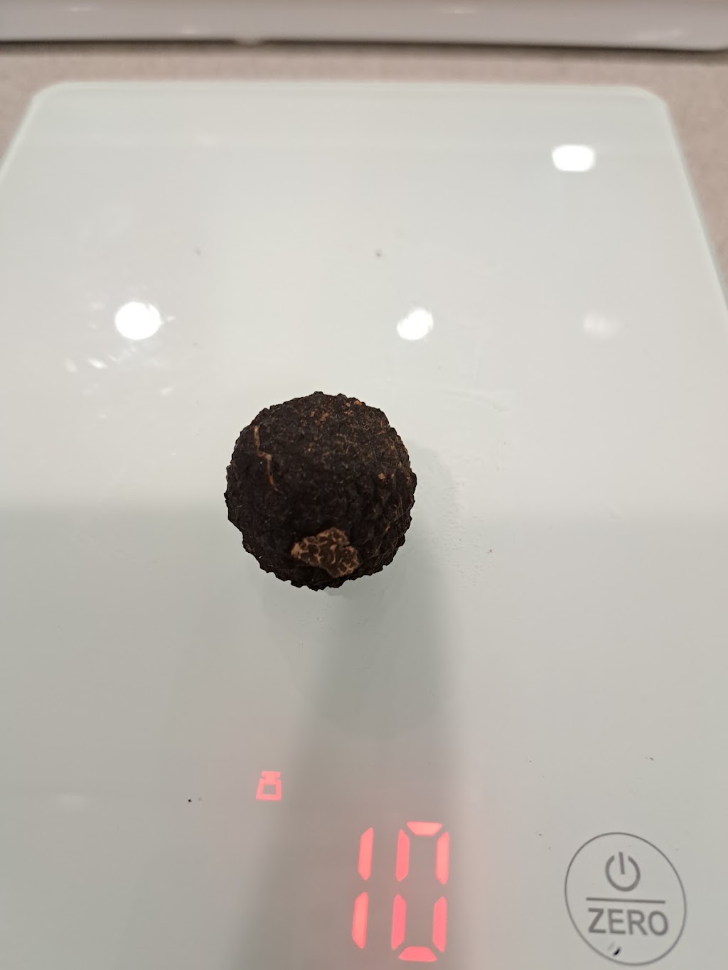 Black Wallaby Truffles | 311 Glynmar Rd, Marulan NSW 2579, Australia | Phone: 0493 184 026