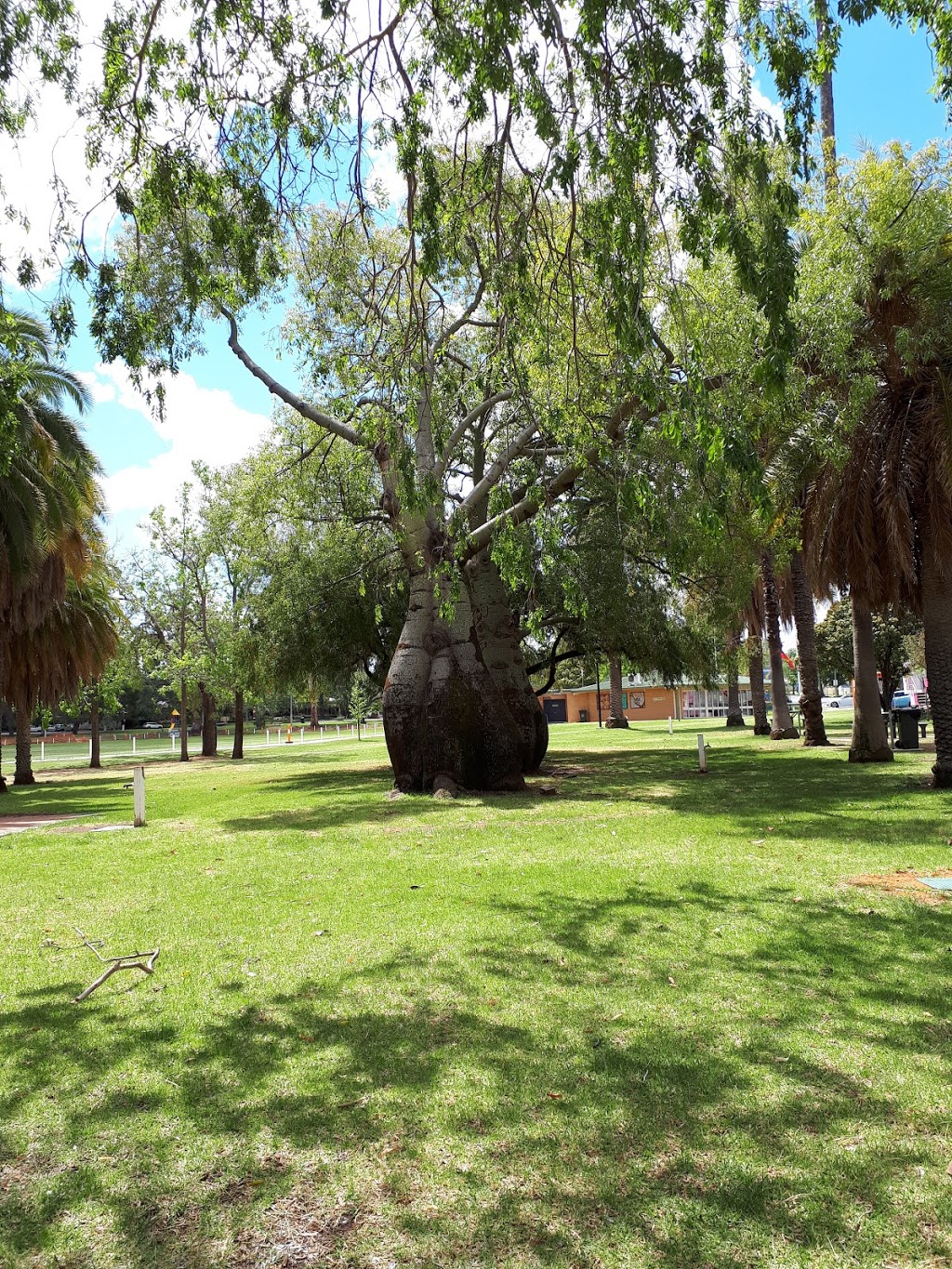 Narrandera Park | park | Narrandera NSW 2700, Australia | 0411690377 OR +61 411 690 377