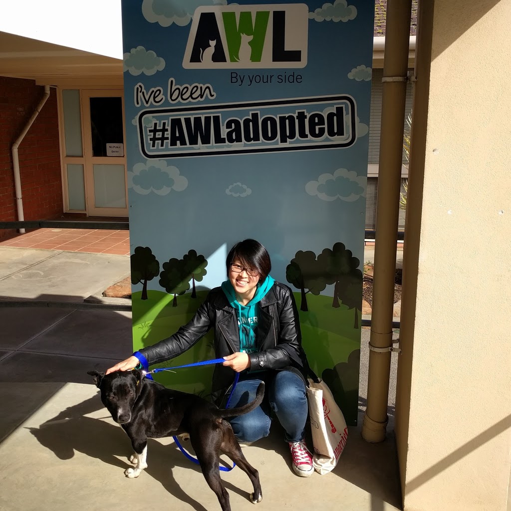 Animal Welfare League SA (AWL) | 1-19 Cormack Rd, Wingfield SA 5013, Australia | Phone: (08) 8348 1300