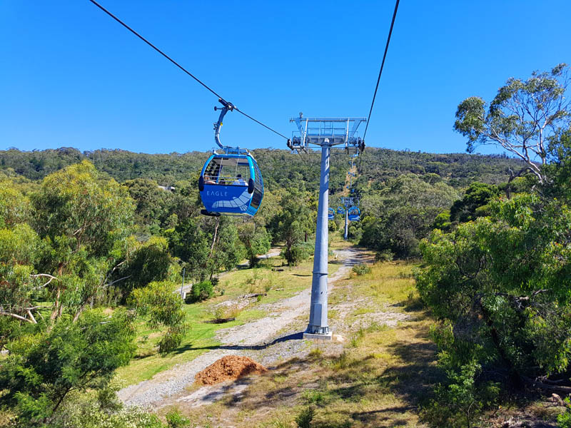 Arthurs Seat Eagle - Summit Station | 795 Arthurs Seat Rd, Arthurs Seat VIC 3936, Australia | Phone: (03) 5987 0600