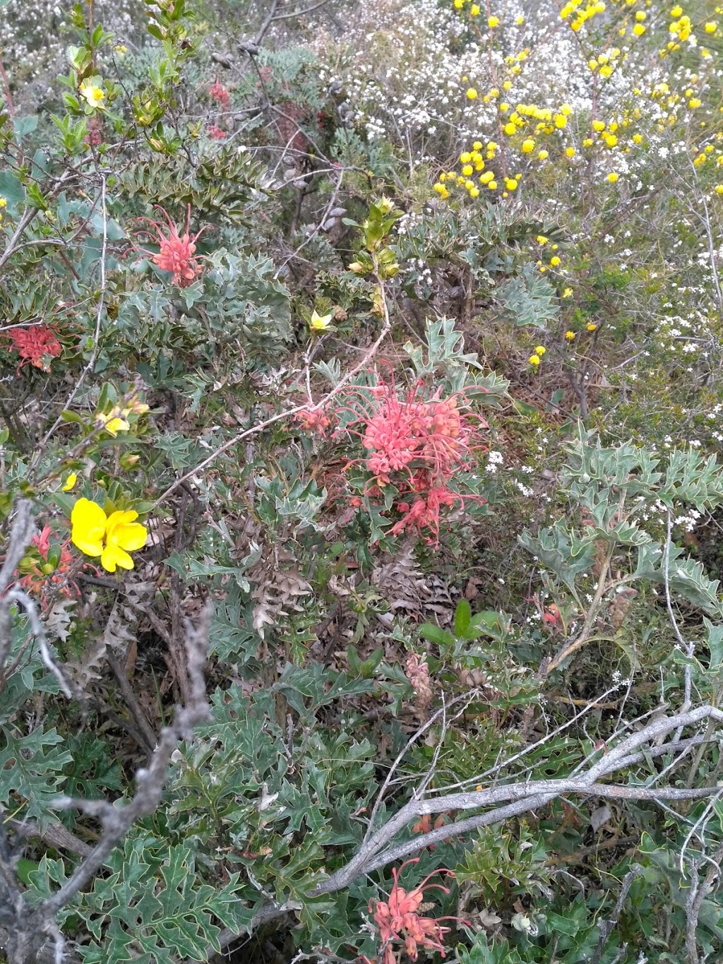 Baldwins lookout trail | park | Serpentine WA 6125, Australia