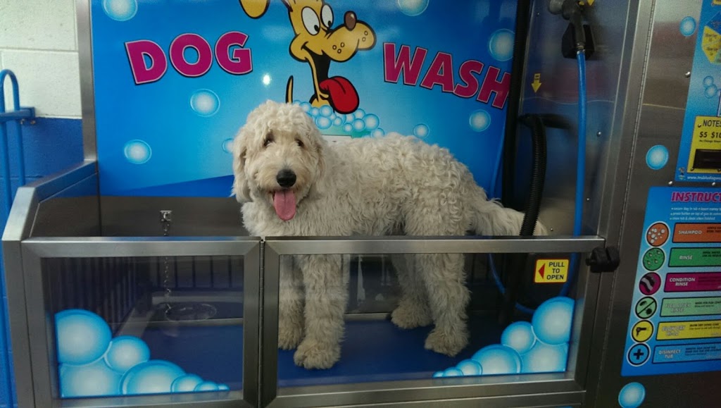 Envirowash Car & Dog Wash | car wash | 1/379 Maroondah Hwy, Ringwood VIC 3134, Australia