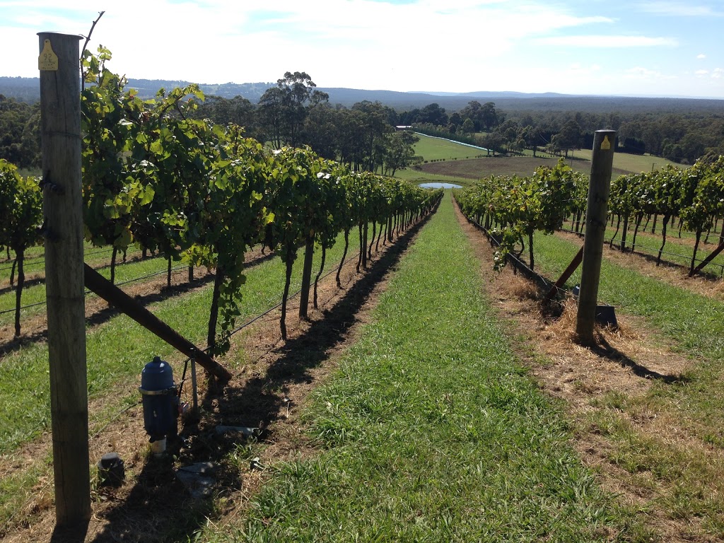 Diamond Creek Estate | food | 292 Diamond Fields Rd, Mittagong NSW 2575, Australia | 0248723311 OR +61 2 4872 3311