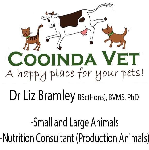 Cooinda Vet Hospital | veterinary care | 5/50-52 George St, Marulan NSW 2579, Australia | 0248411033 OR +61 2 4841 1033