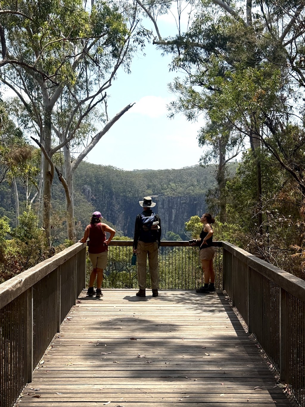 Connect Adventures - Gidjuum Gulganyi Walk | Minyon Dr, Whian Whian NSW 2480, Australia | Phone: 0492 981 811
