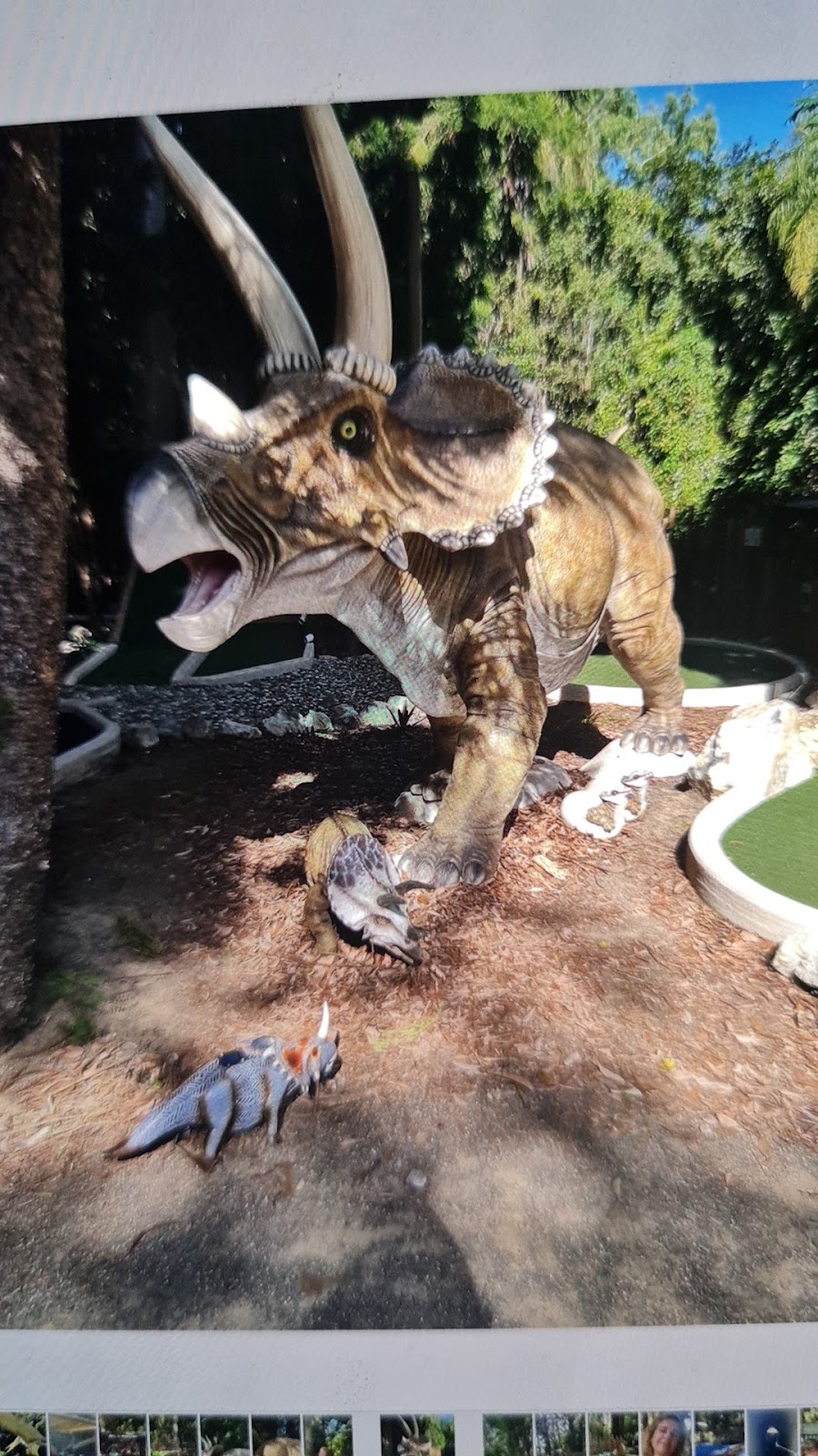 Capricorn dinosaur mini golf and zoo | 9 Stones Rd, Woodbury QLD 4703, Australia | Phone: (07) 4939 7590