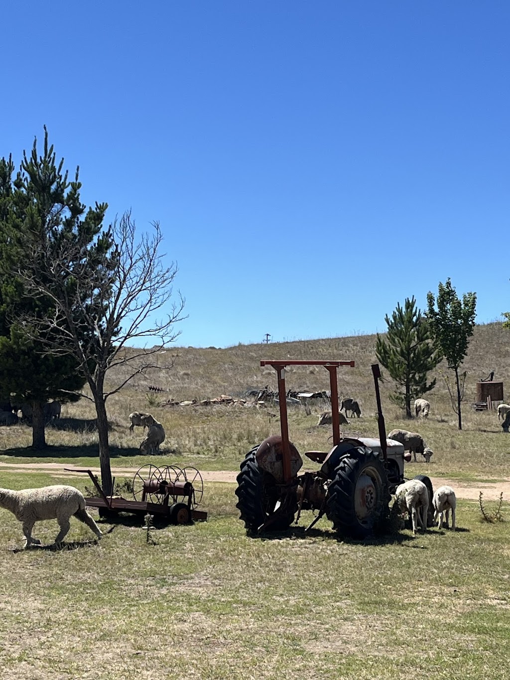 Old Cobbin Homestead | 554 Barry Way, Moonbah NSW 2627, Australia | Phone: 0418 487 726 Old Cobbin Homestead | 554 Barry Way, Moonbah NSW 2627, Australia | Phone: 0418 487 726
