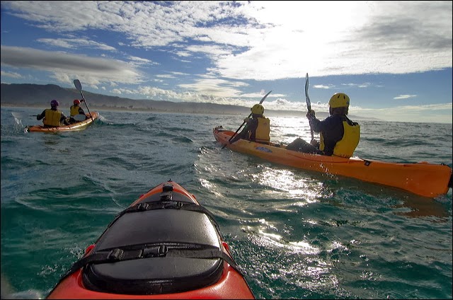 Apollo Bay Surf and Kayak | 157-159 Great Ocean Rd, Apollo Bay VIC 3233, Australia | Phone: (03) 5237 1189