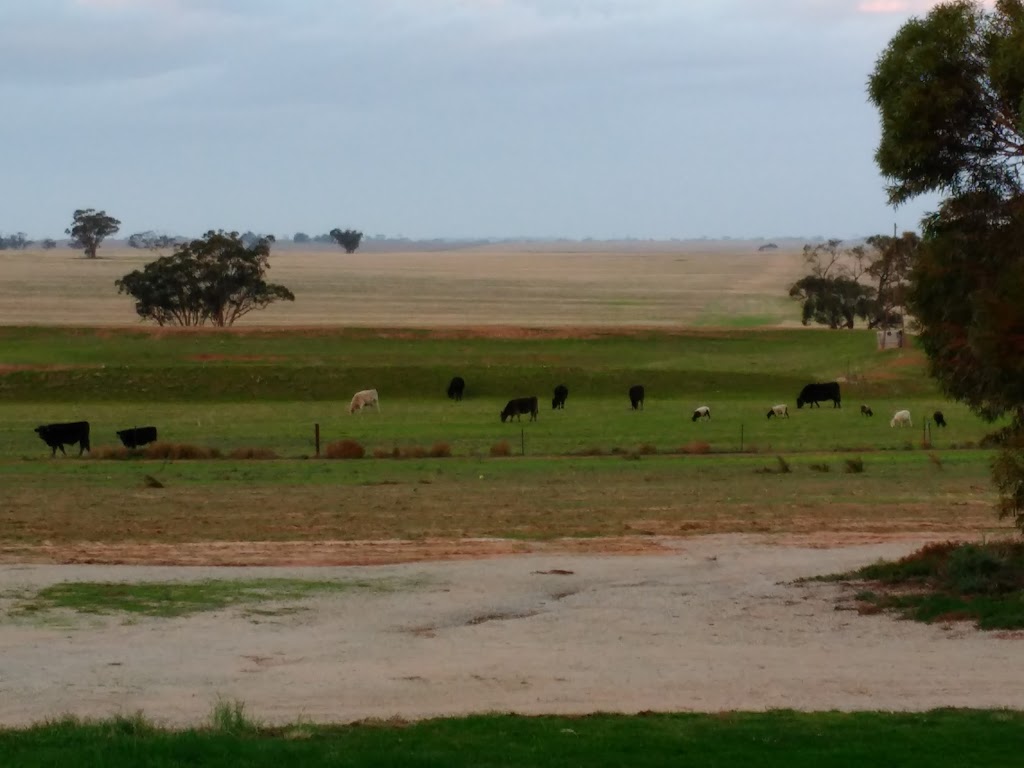 Woomelang Bushland Reserve | Brook St, Woomelang VIC 3485, Australia | Phone: 13 19 63