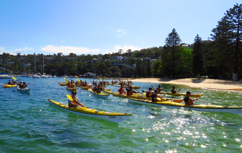 Sydney Harbour Kayaks | travel agency | 81 Parriwi Road, Smiths Boat Shed / Spit Bridge, Mosman NSW 2088, Australia | 0299694590 OR +61 2 9969 4590