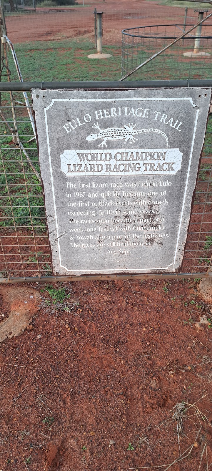 Eulo Lizard Racing Track | 56 Leo St, Eulo QLD 4491, Australia | Phone: 0401 835 124