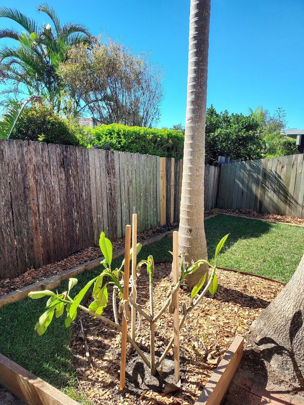Green Koala Lawn & Earthworks | 21 Mahogany Dr, Gulmarrad NSW 2463, Australia | Phone: 0438 854 787