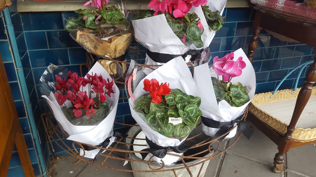 Send A Basket | florist | 10 Duthy St, Unley SA 5061, Australia | 0882726777 OR +61 8 8272 6777