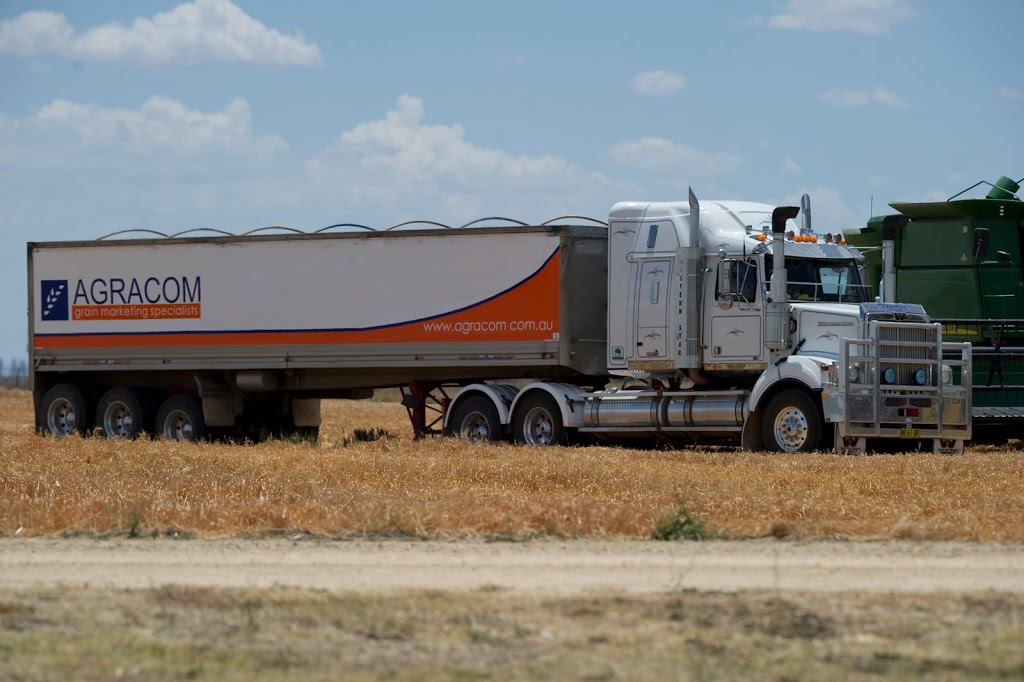 Agracom Grain Trading Company | 87 Loder St, Quirindi NSW 2343, Australia | Phone: (02) 6746 4444