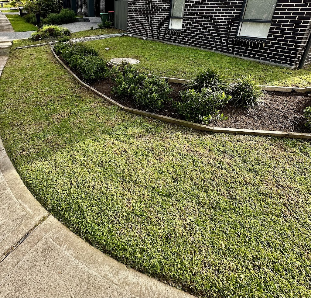 Eden Lawn Maintenance | 1 McElwee Dr, Tingira Heights NSW 2290, Australia | Phone: 0493 148 816