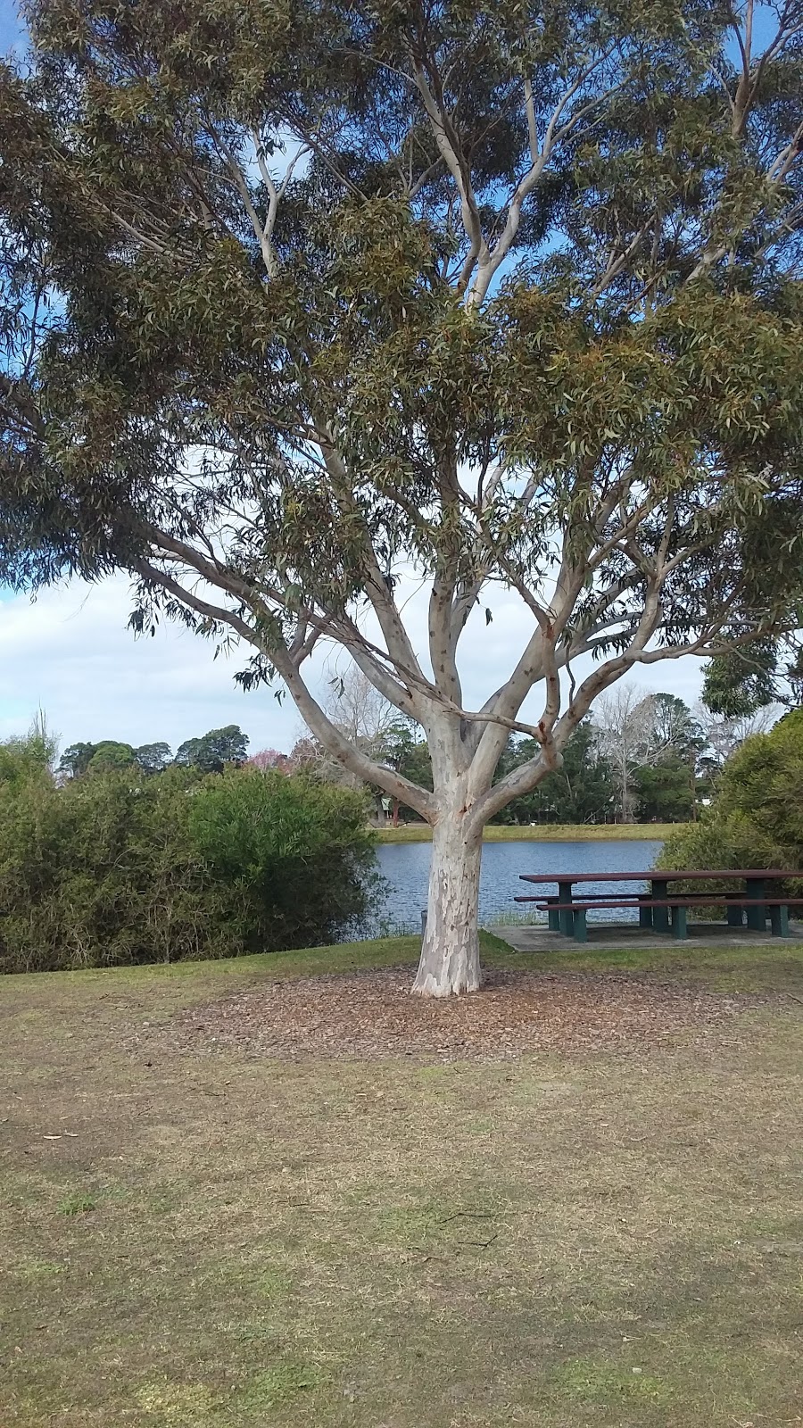 Sunnyfield Community Services Hub - McCabe (Kariong) | Building 10 McCabe Road, Mount Penang, Kariong NSW 2250, Australia | Phone: 1300 588 688