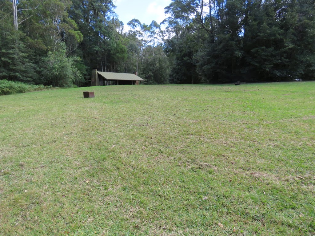 Plateau Beech campground | Plateau Beech Walking Track, Forbes River NSW 2446, Australia | Phone: (02) 6588 5555