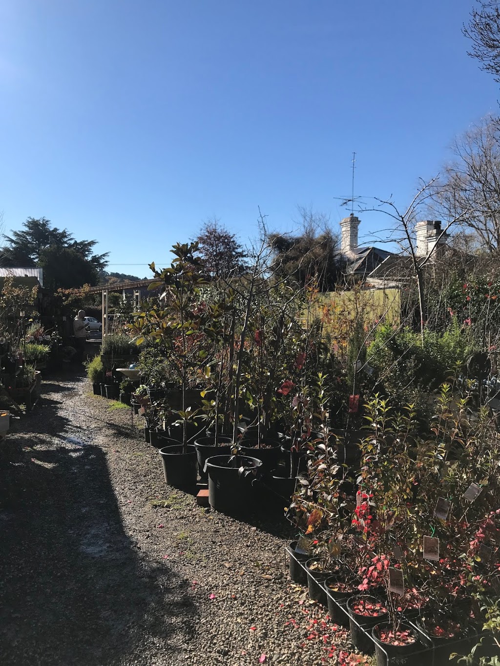 Woodend Nursery | park | 36 Urquhart St, Woodend VIC 3442, Australia | 0400939656 OR +61 400 939 656