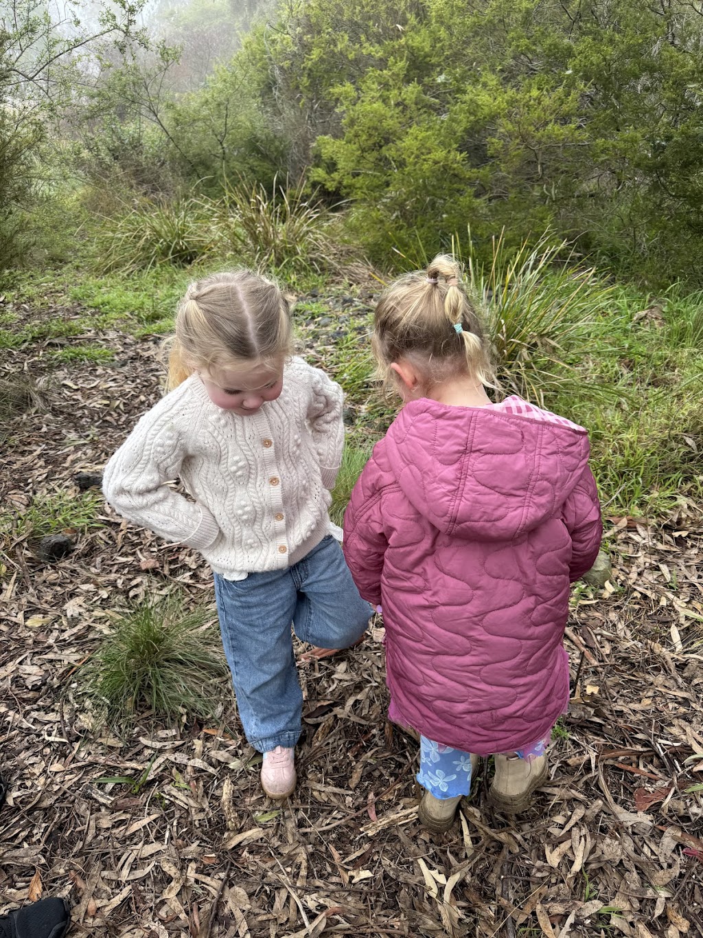 Bakken Thyme Kids | Merrawarp Rd, Ceres VIC 3221, Australia | Phone: 0447 799 280