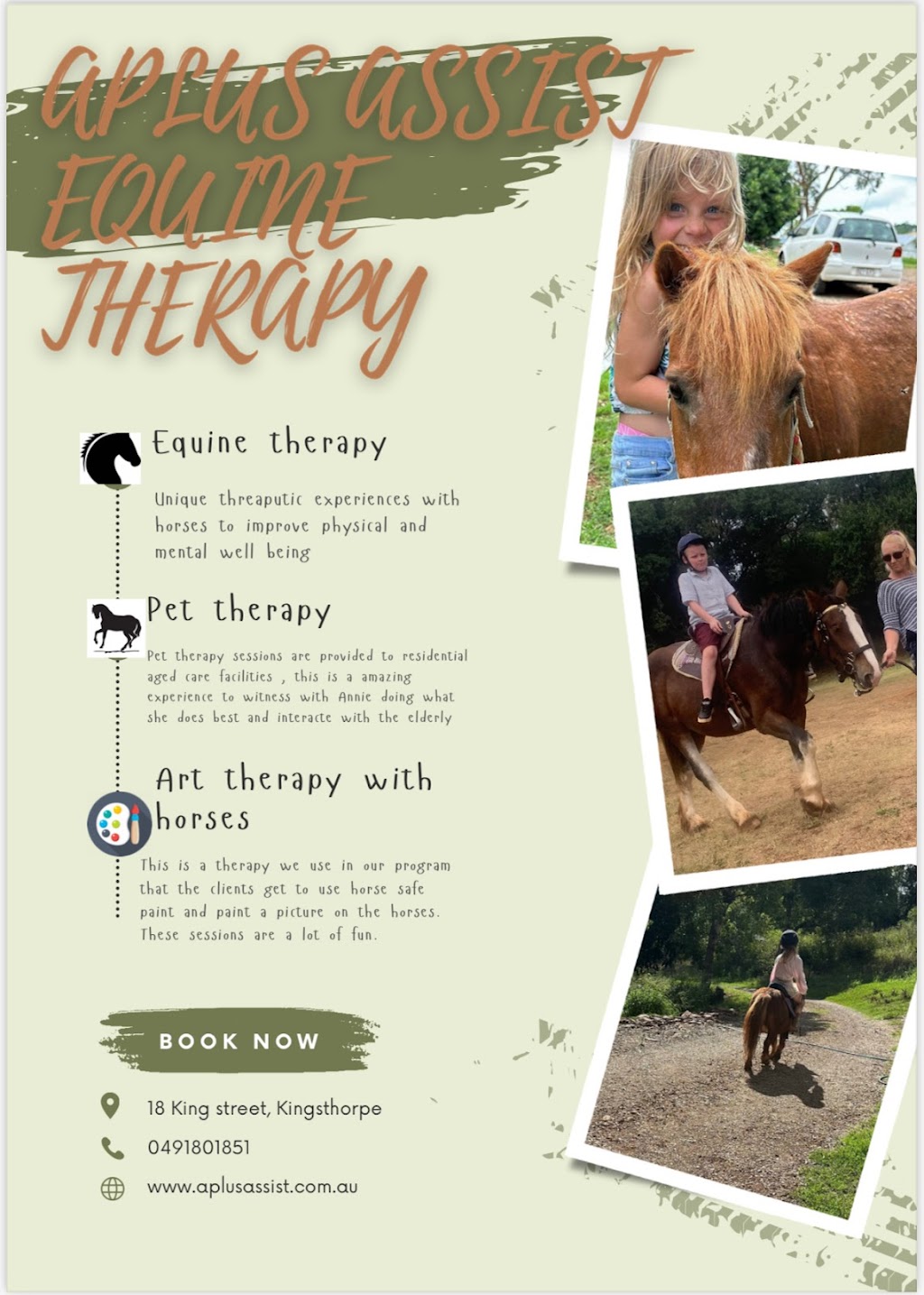 Aplus Assist Toowoomba | 18 King St, Kingsthorpe QLD 4400, Australia | Phone: 0491 801 851