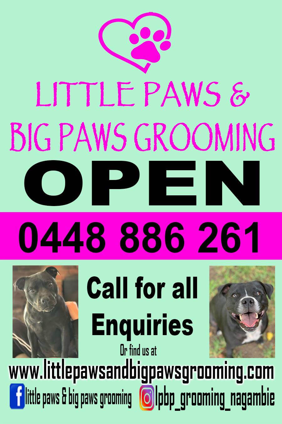 Little Paws & Big Paws Grooming Nagambie | 213 High St, Nagambie VIC 3608, Australia | Phone: 0448 886 261