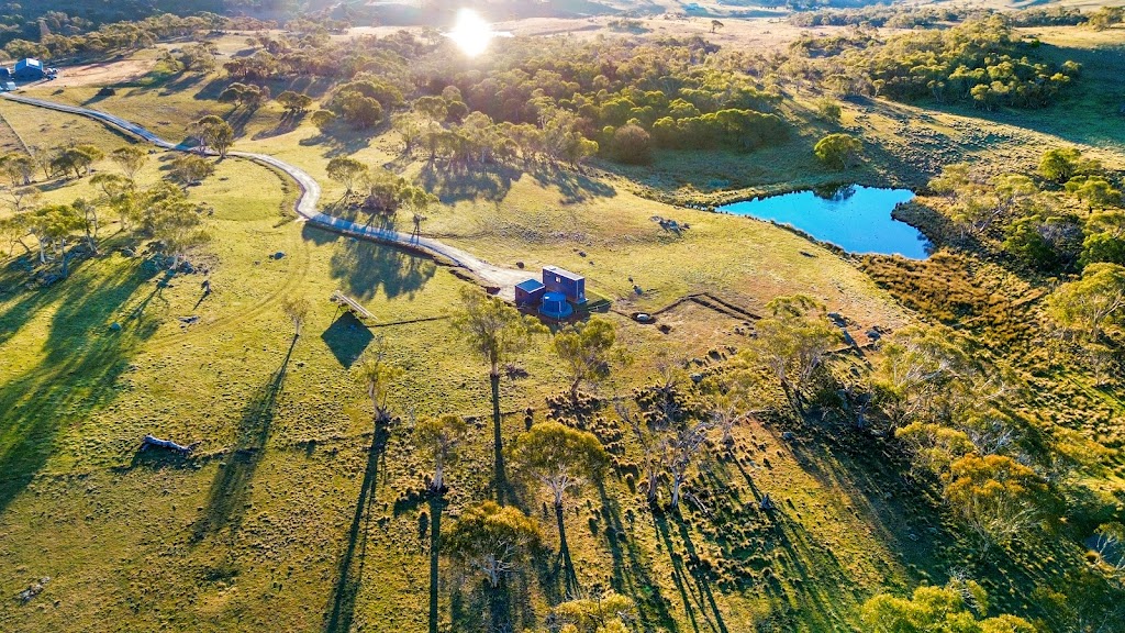 Wuelf & the Fallow | 269 W Lynne Rd, Moonbah NSW 2627, Australia | Phone: 0448 009 930