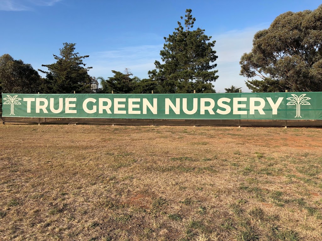 True Green Nursery | 137 Highett Rd, Melton VIC 3337, Australia | Phone: (03) 9743 5932