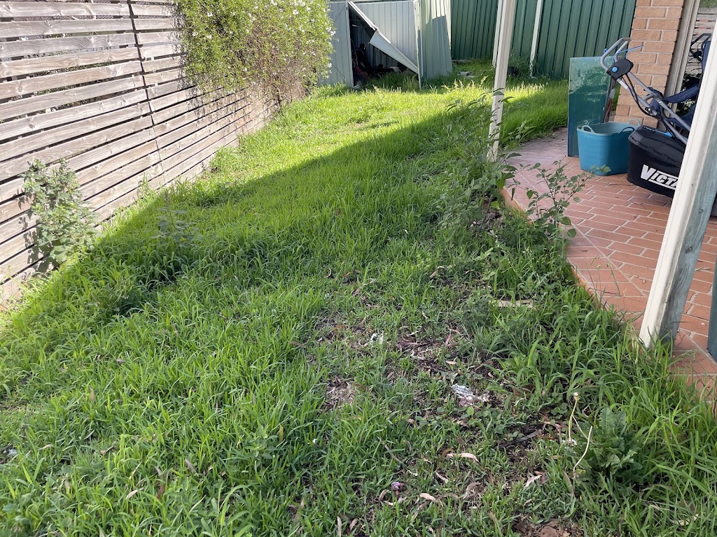 My Professional Services | 133 Adelphi St, Rouse Hill NSW 2155, Australia | Phone: 0466 558 796
