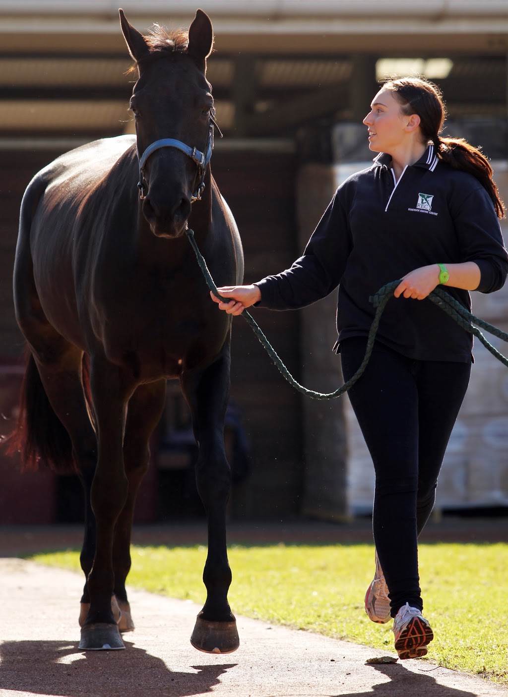 REC Equine Specialists | veterinary care | 373-379 Wallgrove Rd, Horsley Park NSW 2175, Australia | 0293997722 OR +61 2 9399 7722