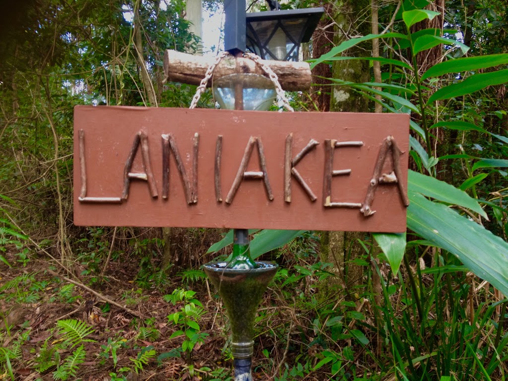 Laniakea Rainforest Camp (closed for renovations) | campground | 652 Wallace Rd, Terania Creek NSW 2480, Australia | 0403414553 OR +61 403 414 553