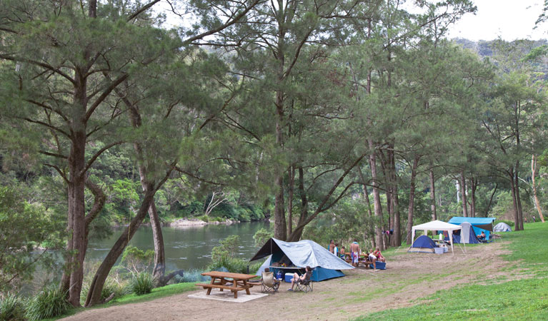 Platypus Flat campground | campground | Platypus Flat Rd, Wild Cattle Creek NSW 2453, Australia | 1300072757 OR +61 1300 072 757