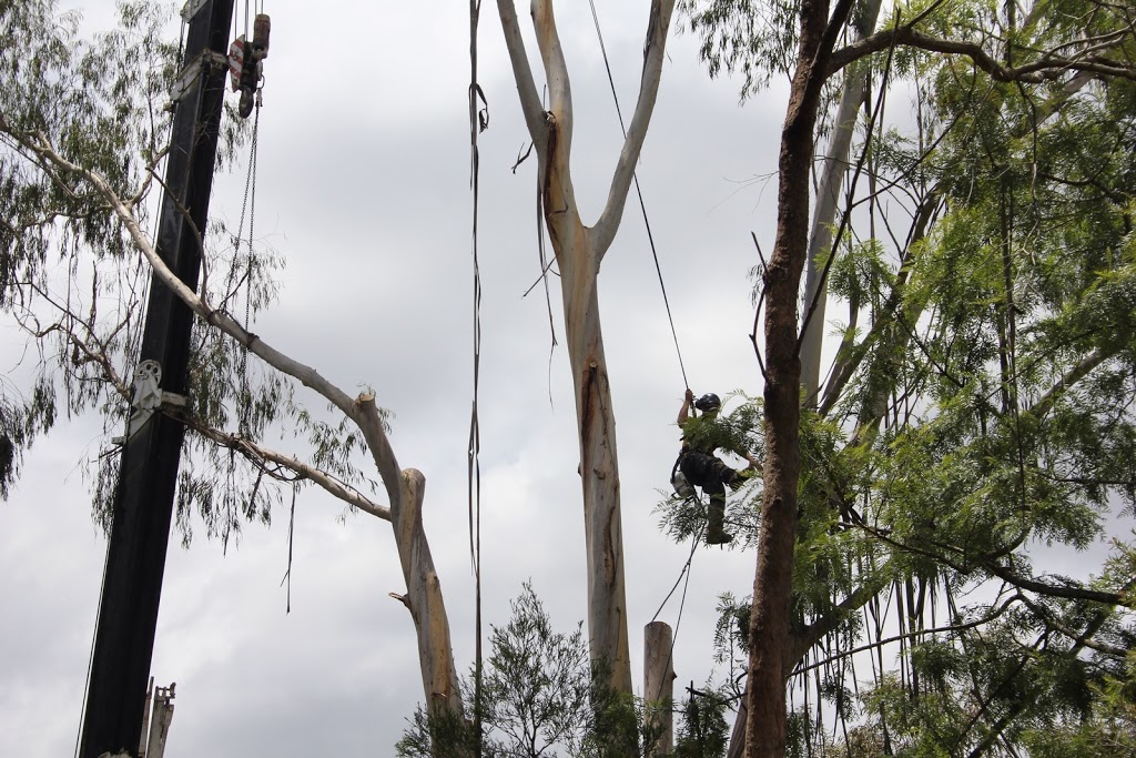 Northern Beaches Gardening and Landscaping Forestville | Forestville NSW 2087, Australia | Phone: 0425 804 830