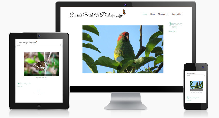 Easy Web Design | 8 Yarralumla Ave, St Ives Chase NSW 2075, Australia | Phone: 1300 644 585